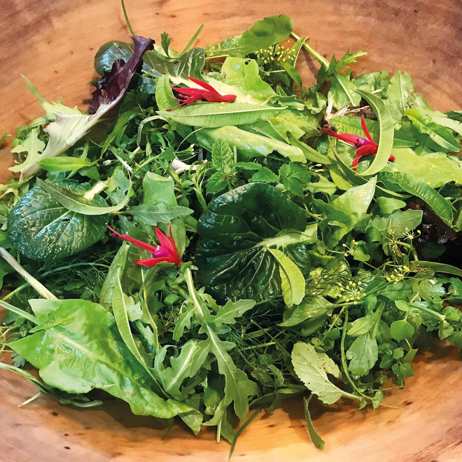 Foraged salad