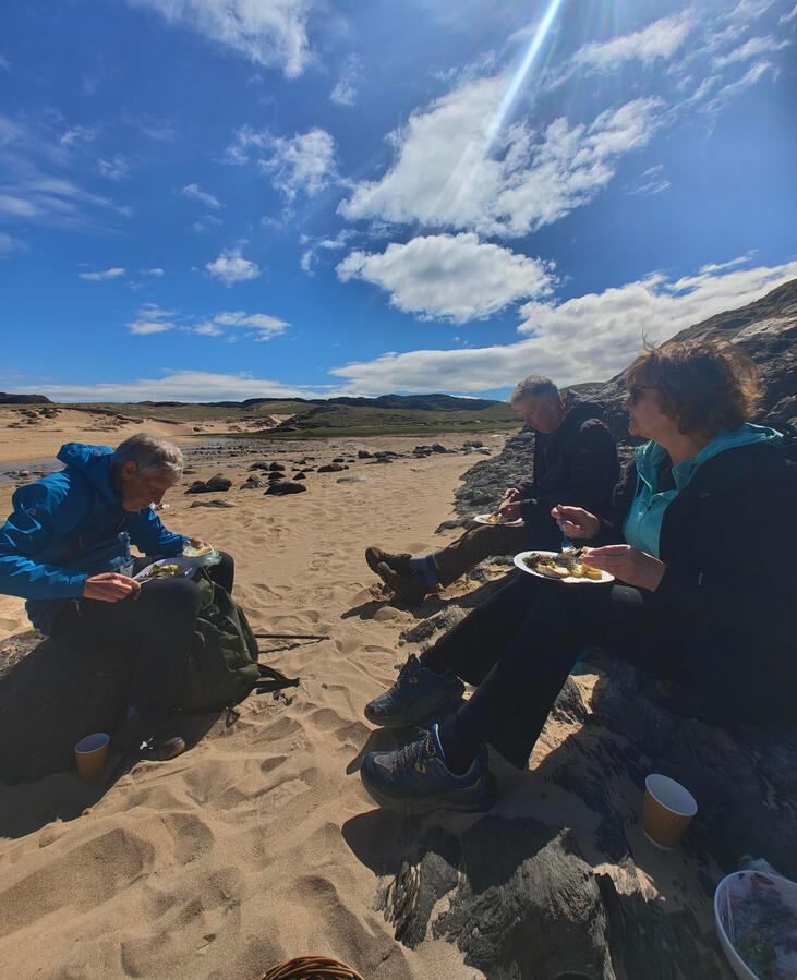 Beach foraging meal Winter chanterelles
